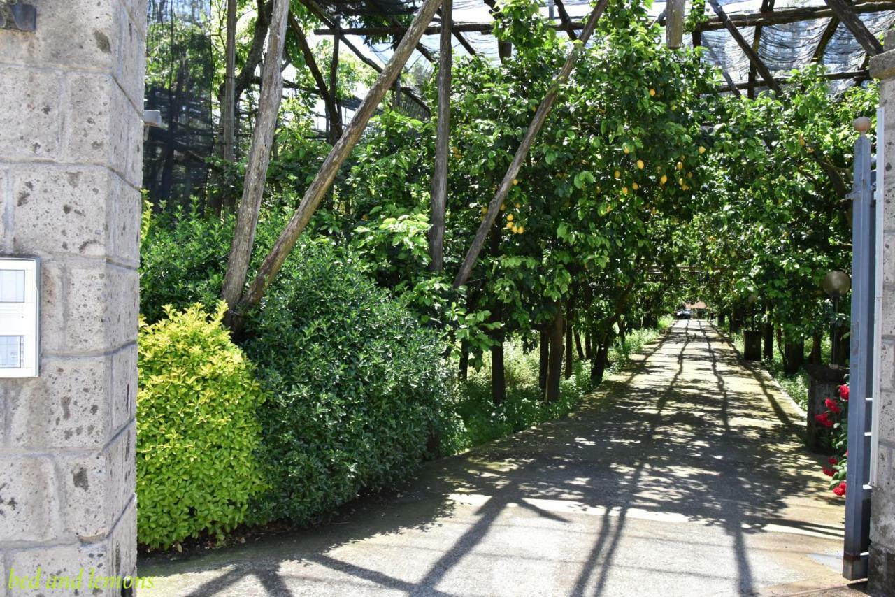 Bed and Breakfast Bed And Lemons Пьяно-ди-Сорренто Экстерьер фото